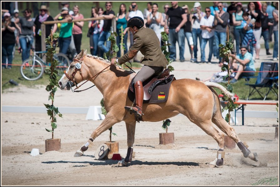 Pferd International 143